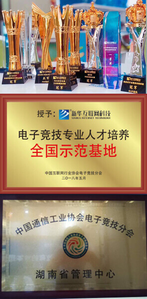 電子競技戰(zhàn)隊(duì)成績