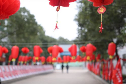 1519980252436066.jpg 1519980252436066.jpg