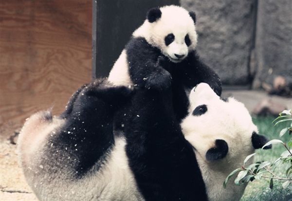 1575252200299862.jpg 1575252200299862.jpg