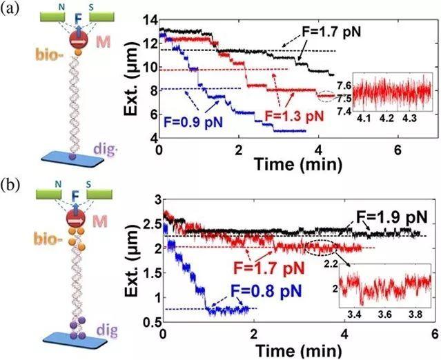 1575252213408527.jpeg 1575252213408527.jpeg