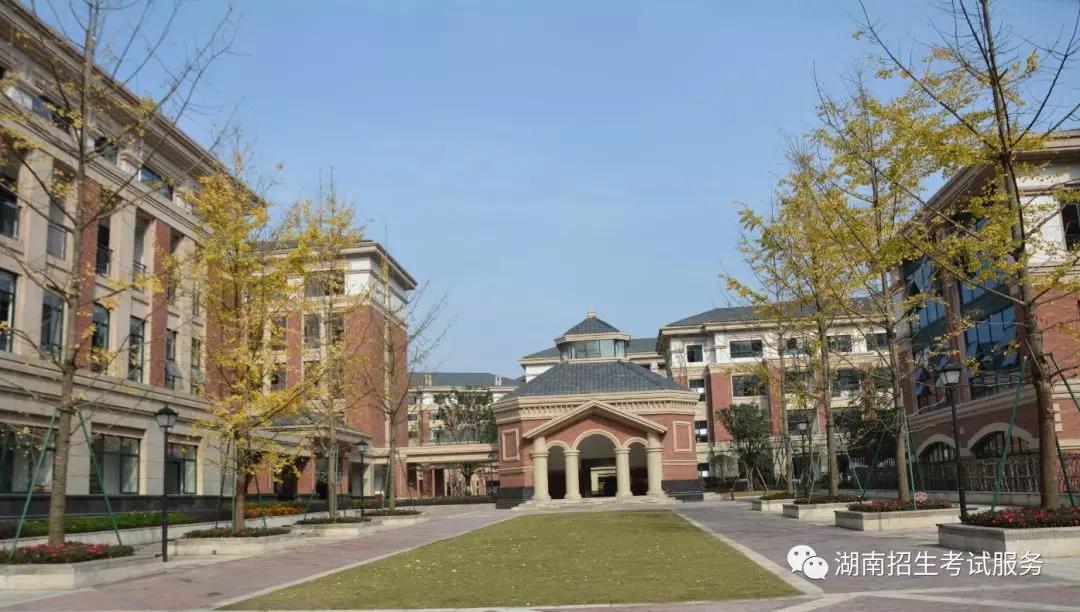 1610699142357629.jpg 1610699142357629.jpg