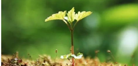 學(xué)習(xí) 學(xué)習(xí)