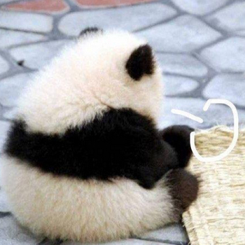 1648188261604276.jpg t013ba335d90f0e3bff.jpg