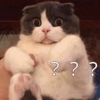 1648795136615845.jpg v2-239adeb04ab53f3e49b9f0ab8ef0b6b6_hd_(2).jpg