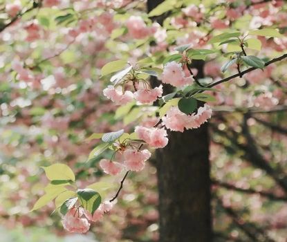 1649400104822723.jpg 微信圖片_20220407151518.jpg