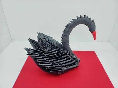 1677813331771569.jpg 黑天鵝.jpg