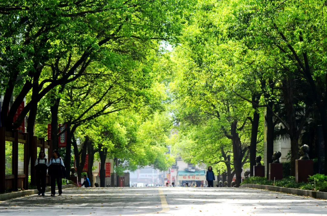 1681198125420357.jpg 1681198125420357.jpg